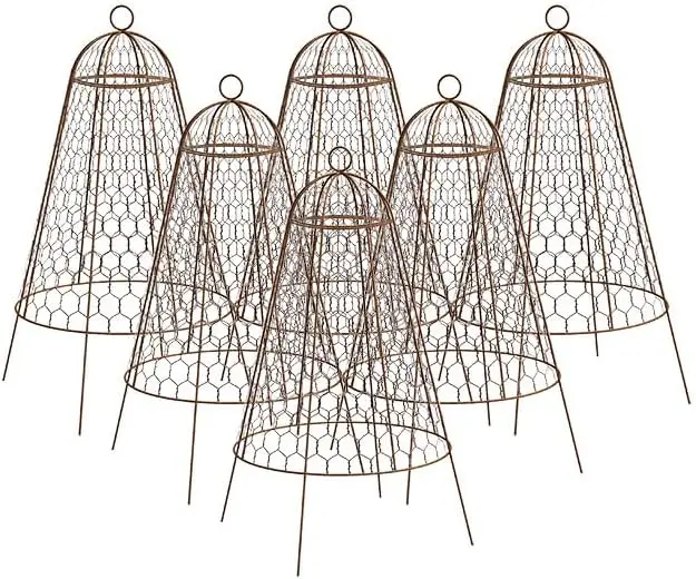 Set of Six Panacea 83280 Rustic Wire Garden Cloches, 20
