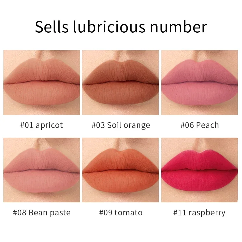 Matte Lippenstift 12 Farben Lippen glasur für Make-up wasserdichte profession elle Make-up tragbare Tönung Lip gloss Flash Kosmetik