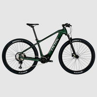 Top Quality Carbon Electric Bike Bafang M510 Mid Motor 250W Mountain Bicycle 29 Inch EMTB With Hidden Battery For Men