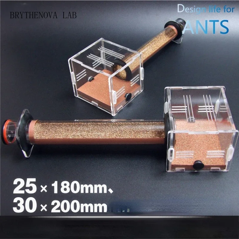 Bionic Concrete Test Tube Bamboo Nest 25mm 30mm Nest Ant Workshop Pasture Ecological Villa Acrylic