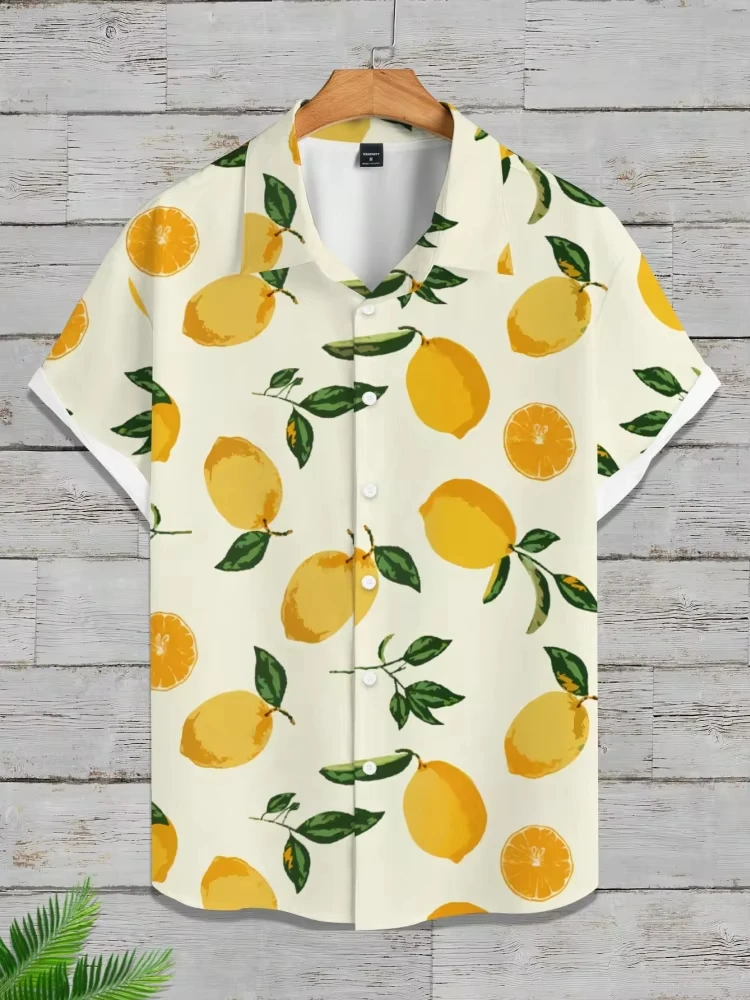CSS0023A