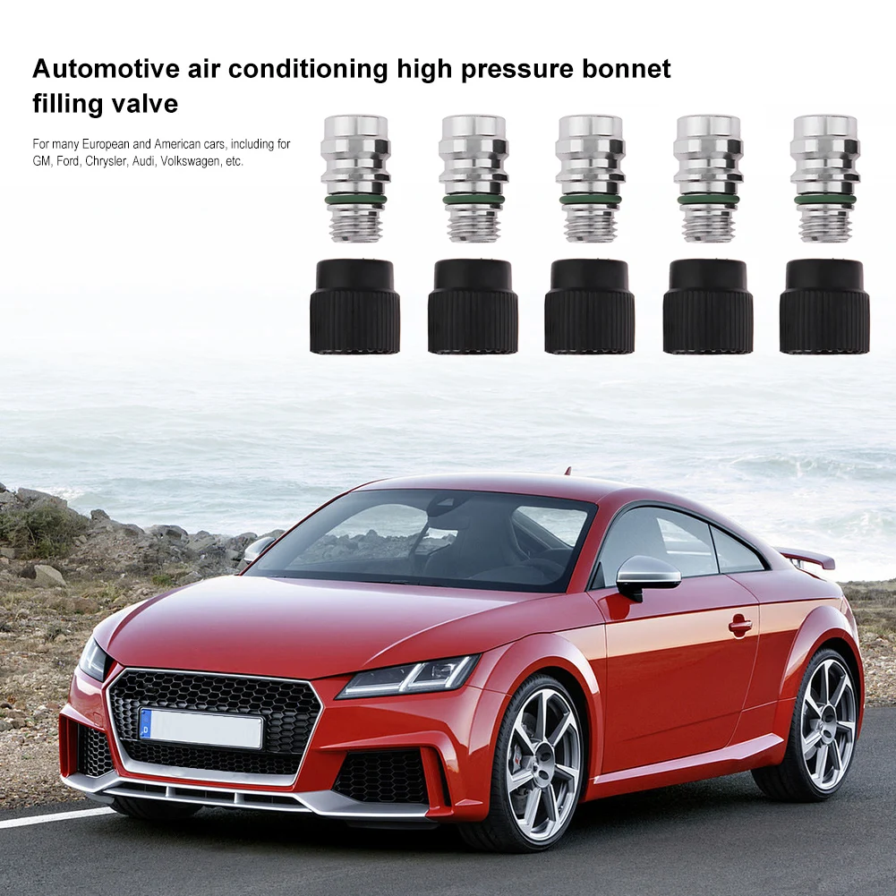 5 قطعة عالية الجانب A/C خدمة تهمة ميناء الكرة صمام النوى مع قبعات لجنرال موتورز فولكس فاجن