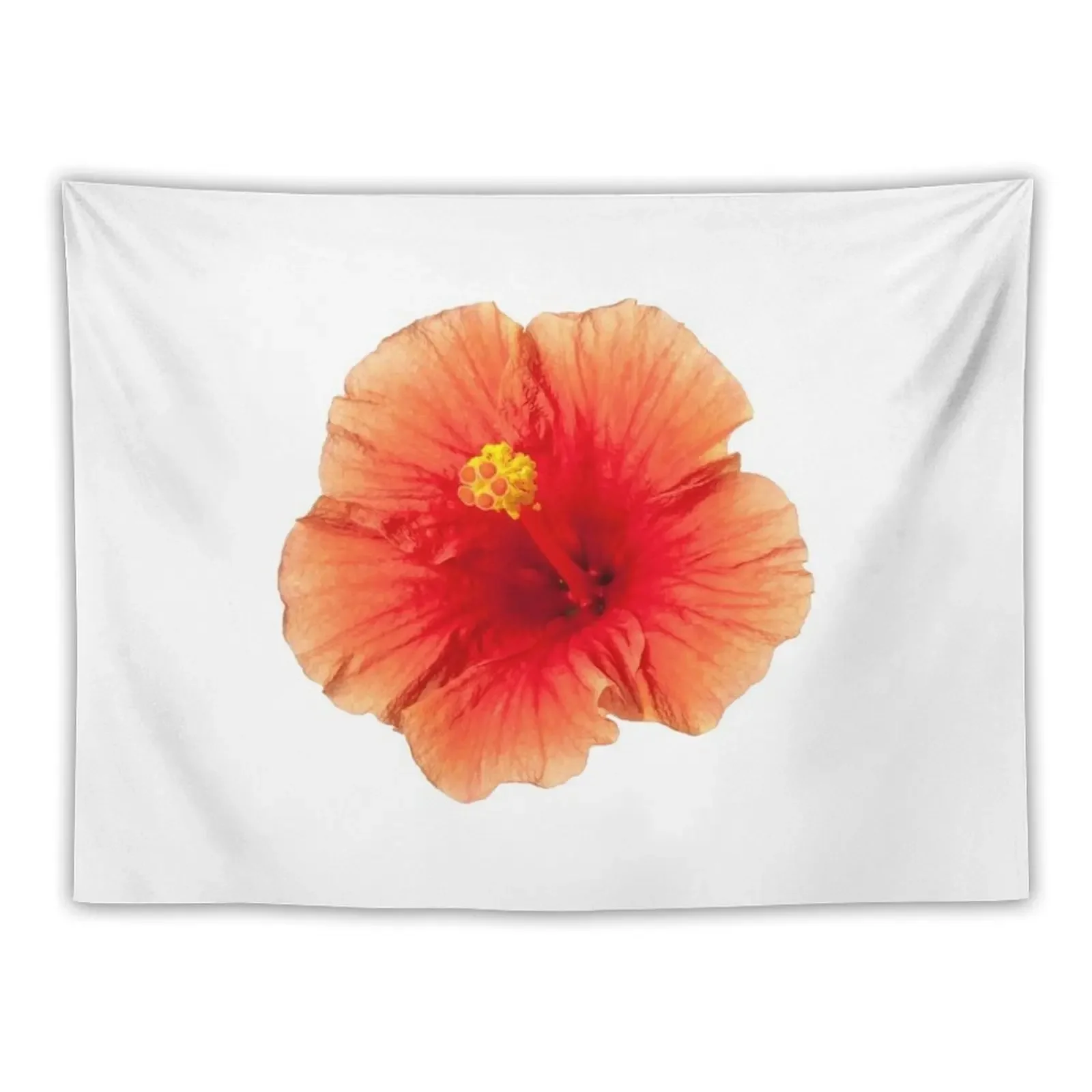 

Orange Hibiscus Tropical Flower Tapestry House Decorations Decor For Bedroom Bedroom Decoration Mushroom Tapestry