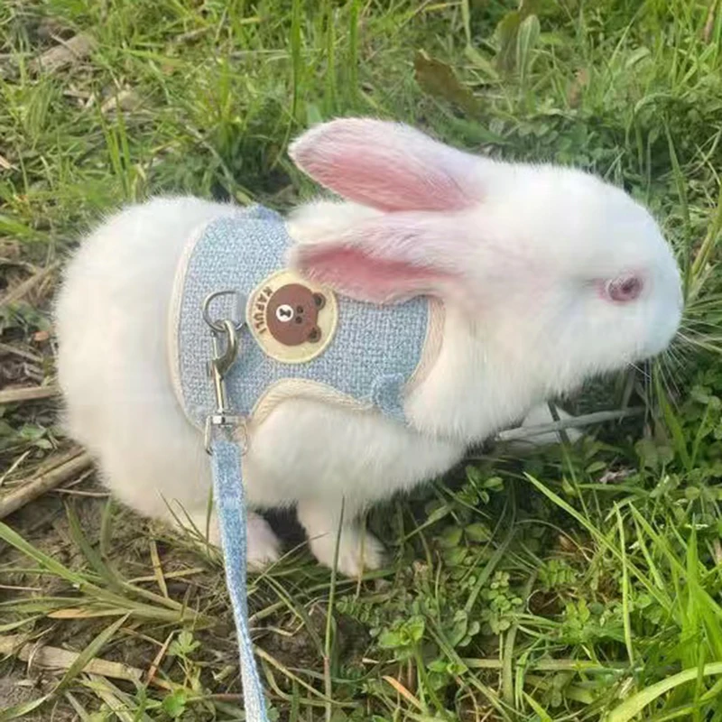 Nieuwste schattige konijnenharnas en riemset Bunny huisdieraccessoires Vestharnassen Konijnenriemen voor buiten wandelen Huisdierenbenodigdheden