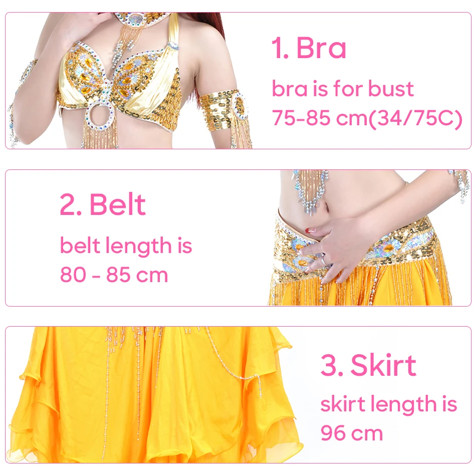 Belly Dance Costume Top Bra Belt and Skirt 3 Pieces Set For Stage Performance Suit Personal Training Practice Clothes Carnival