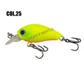 Col 25