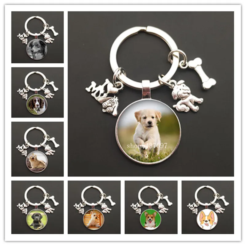 Cute animal beagle mops pies szkło cabochon pudel teddy art picture szklana kopuła ręcznie robiona biżuteria DIY breloczek