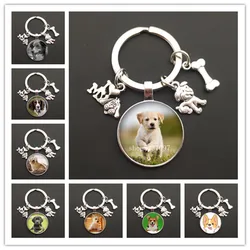 Cute animal beagle mops pies szkło cabochon pudel teddy art picture szklana kopuła ręcznie robiona biżuteria DIY breloczek