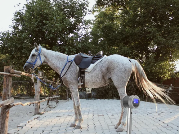

Portable Multi-Wavelength Laser Device COZING-T05: Complete Home Physio for Sports Recovery & Pet Mobility Enhancement