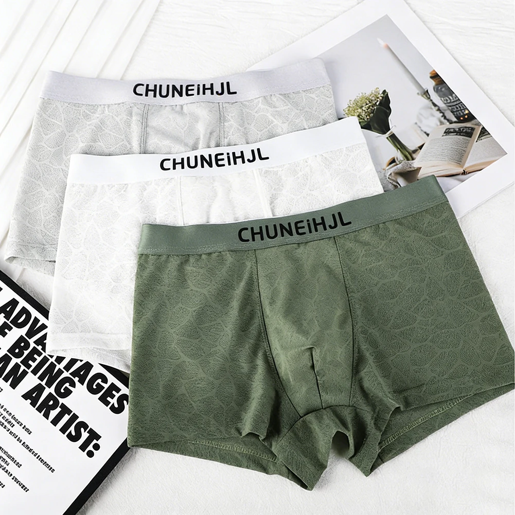 Men Texture Mesh Boxer Shorts Underpants Breathable Hot Hot Lingerie Elastic Cool Panties Trunks Soft Underwear For Man Lingerie