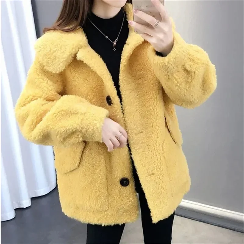 Lady Thickened Warm Fur Coat Imitation Lamb Plush Jacket 2023 autumn/winter new Korean version solid color loose short coat Gree