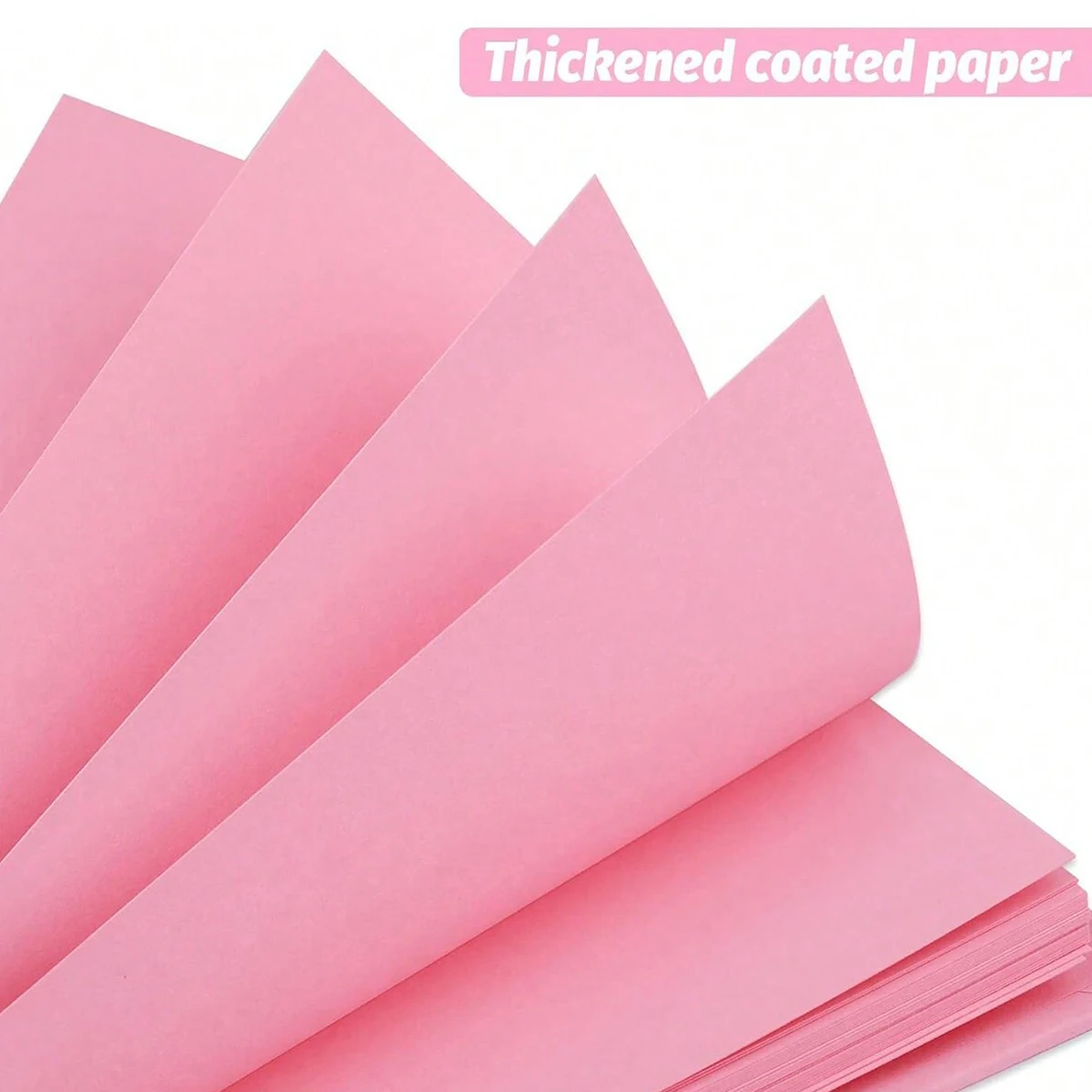 Thumbnail 3 - #71 Compare Photo Albums Before You Buy