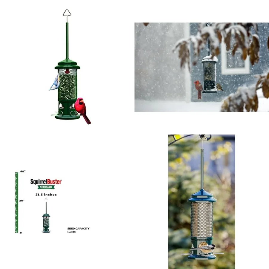 

Squirrel Buster Standard Squirrel-proof Bird Feeder w/4 Metal Perches, 1.3-pound Seed Capacity, garden green
