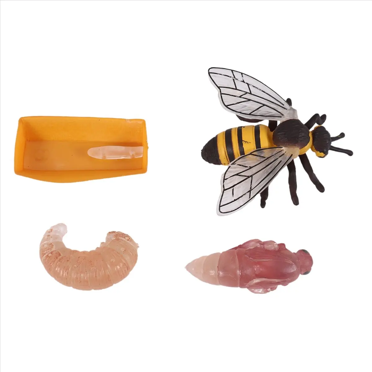 ●Pack of 4 Insect Figurines Life Cycle of Honey Bee Realistic Insects Figures Toys Educational Science Model Toy
