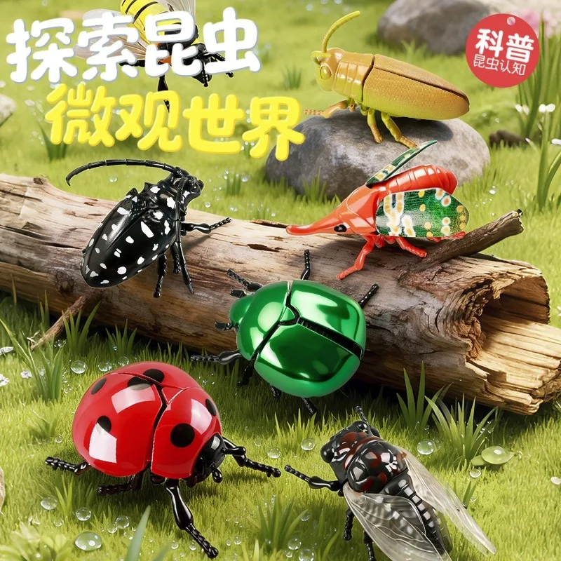 3D Crawling Insect Model Toys Movable Wings Legs Realistic Bug Figures Educational Learning Toy for Kids Boys Girls Gift