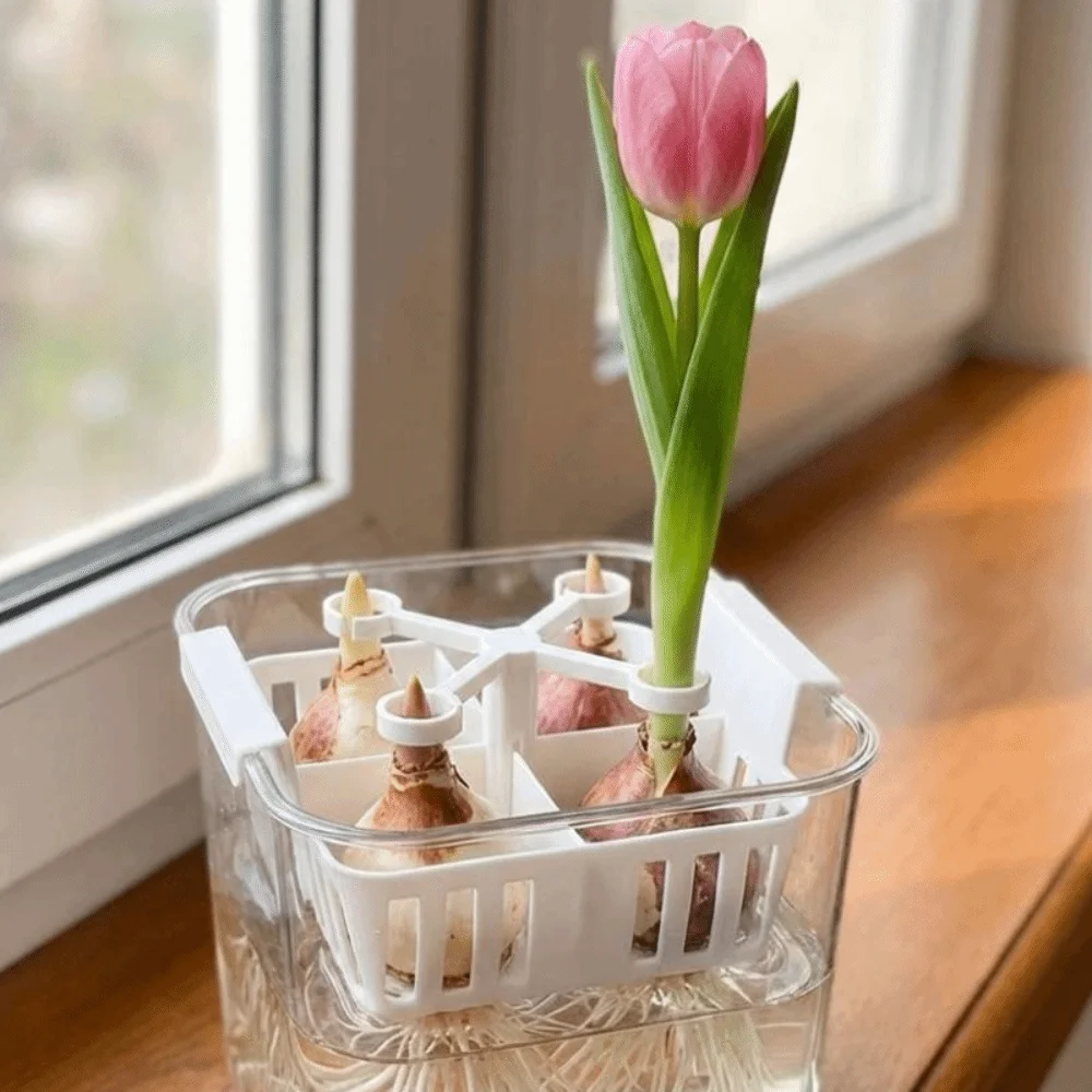 4-Hole Hydroponic Tulip Anti-Tip Stand Anti-Fall Stabilize Plant Fixer Bracket Keep Upright Plastic Tulip Stem Support Clip
