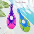 B406 Purple Green