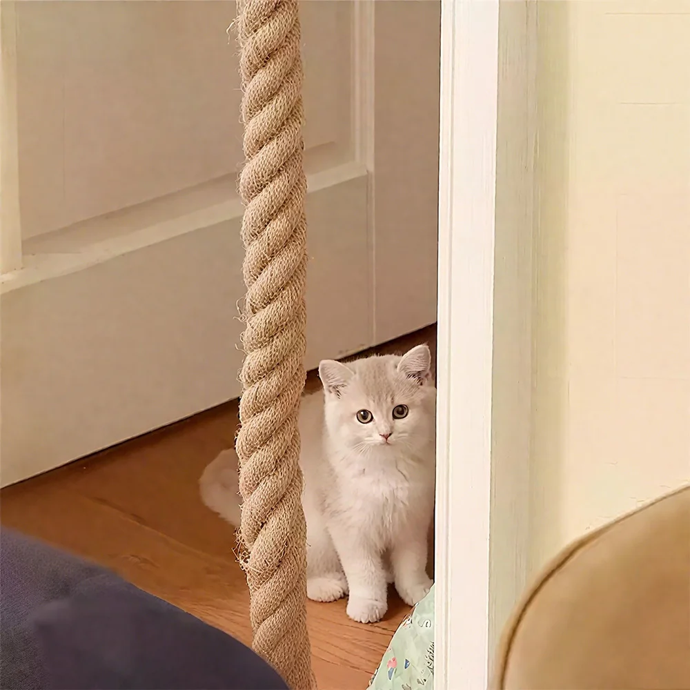 حبل تسلق القطط المثبت على السقف للعب النشط يشجع القطط الداخلية لتسلق تجربة ممتعة للقطط والقطط البالغة