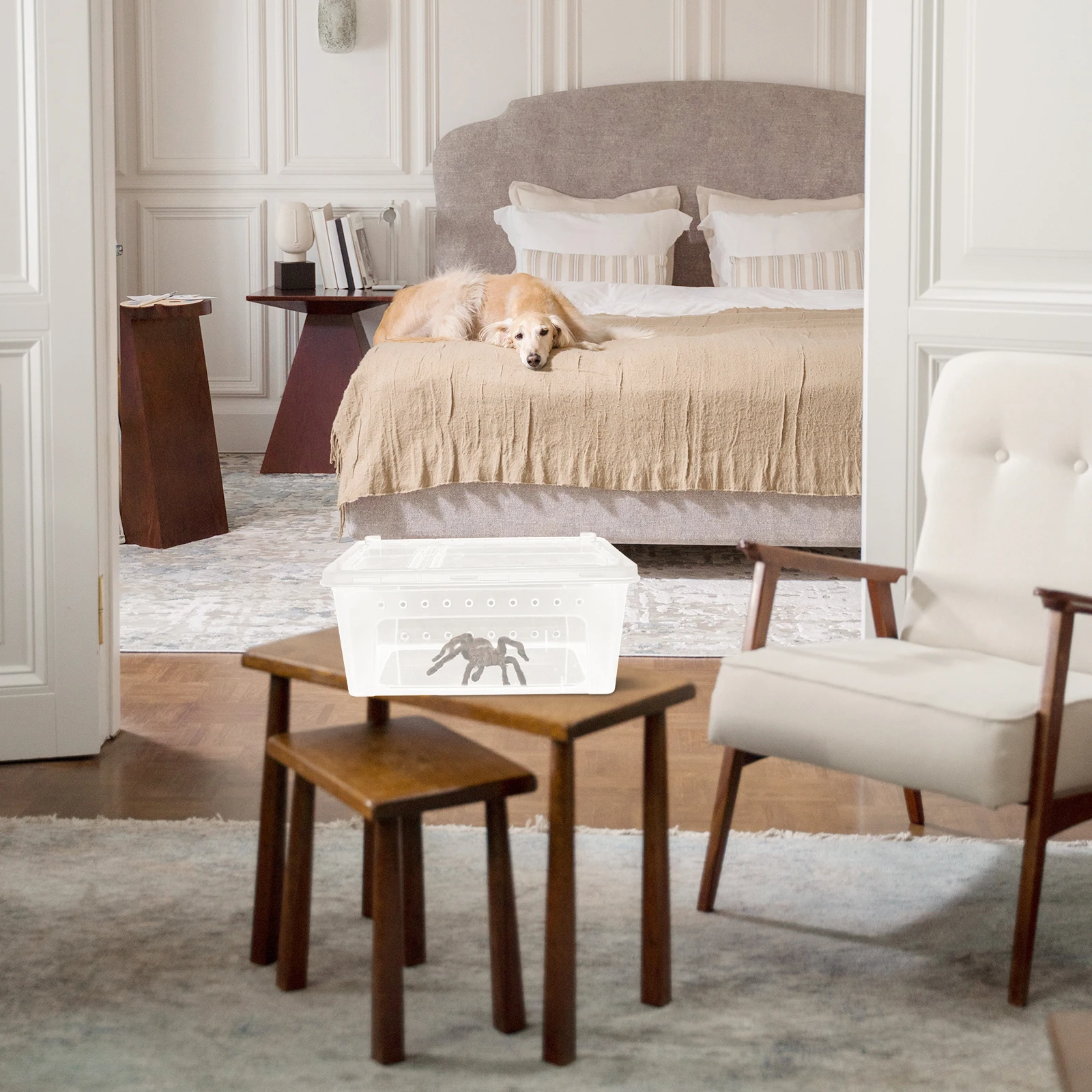 

1Pcs Transparent Plastic Reptile Feeding Box Double Opening Design Suitable for Spider Scorpion Snake Tortoise Gecko Breeding