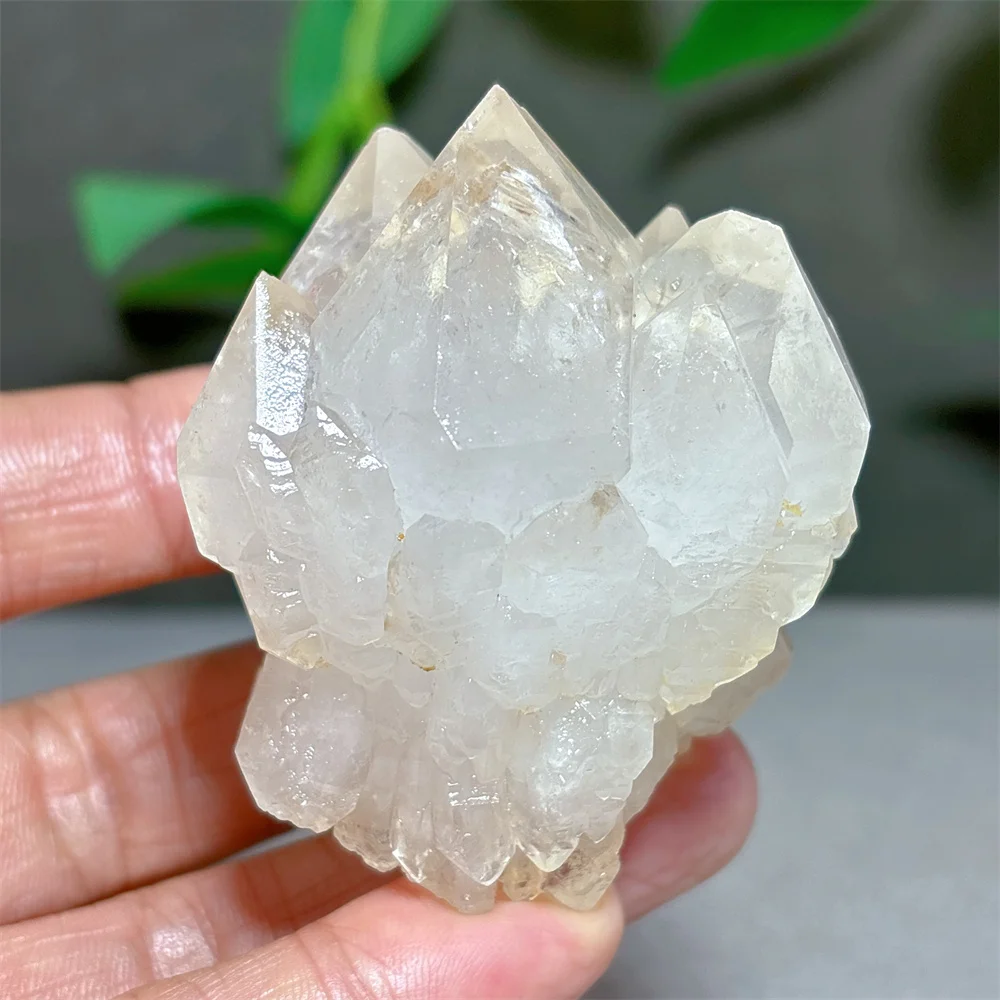 Lotus Backbone Clear Quartz Cluster Specimen Raw Crystal Natural Stone Quartz Stone Garden Home Decoration Reiki Healing Energy