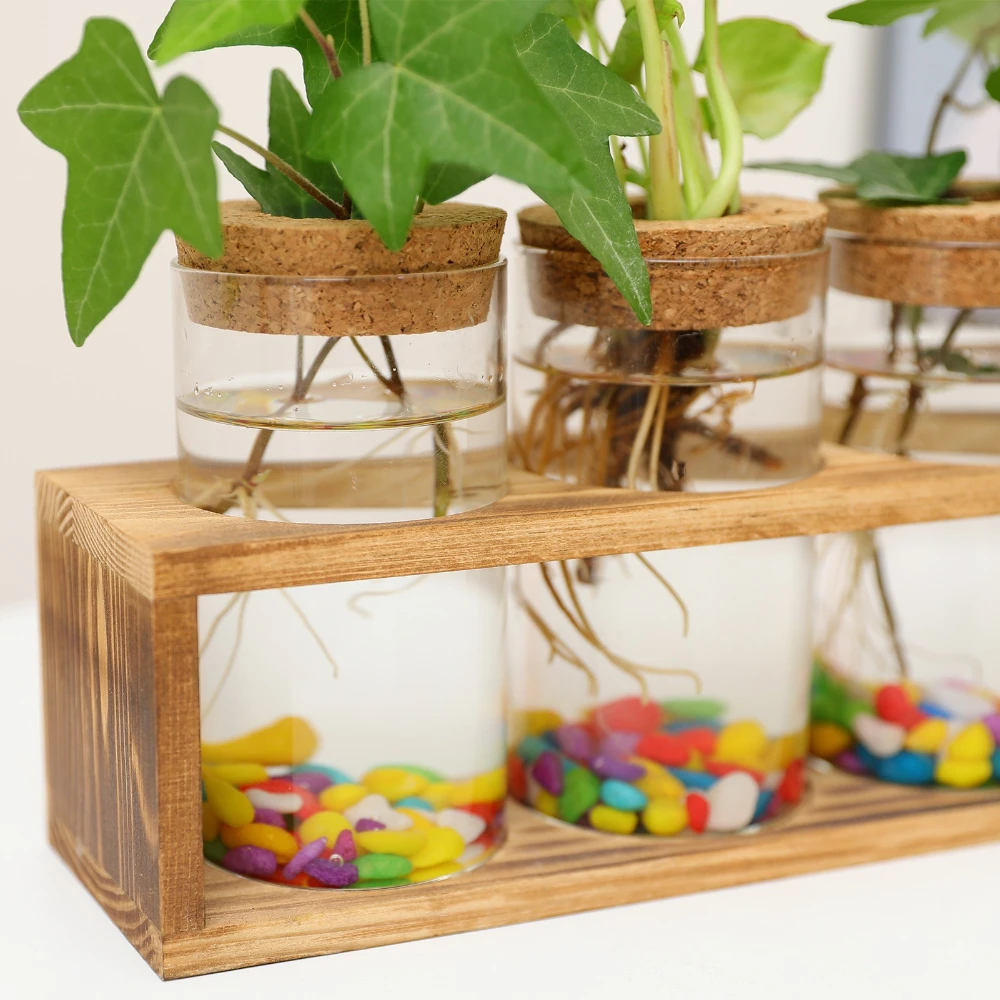 Minimalistyczny szklany wazon  – Propagation Station Vase recenzja i cena