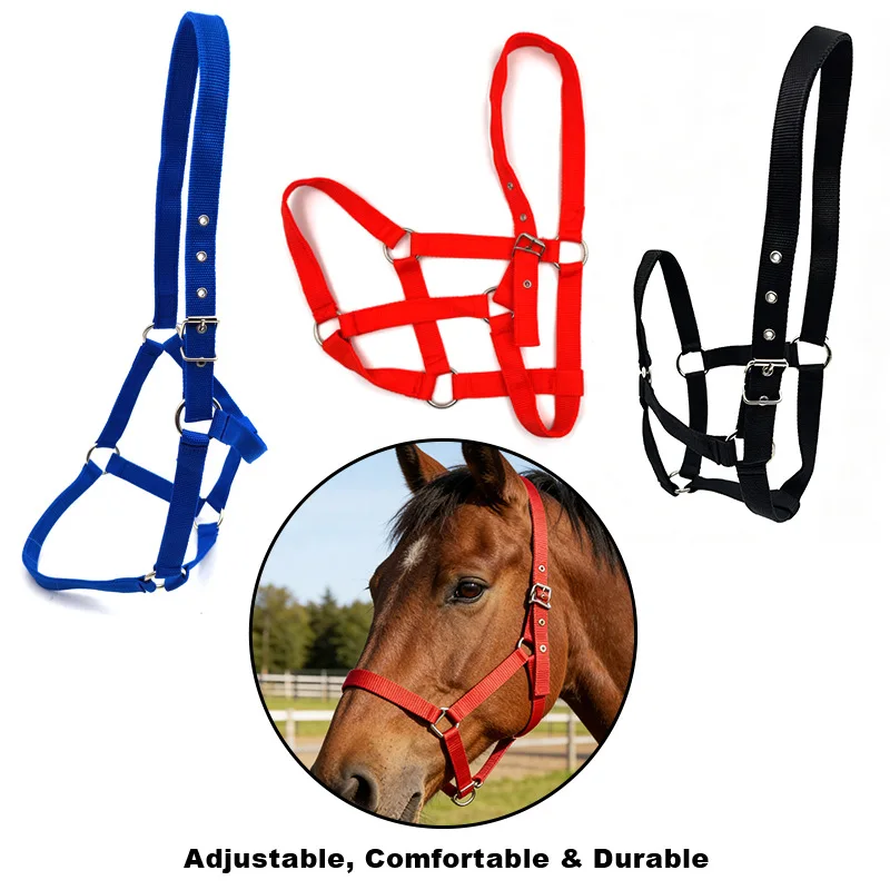 cabresto-e-cabecada-ajustaveis-em-nylon-duravel-com-fita-de-seguranca-para-cavalos-treinamento-equestre