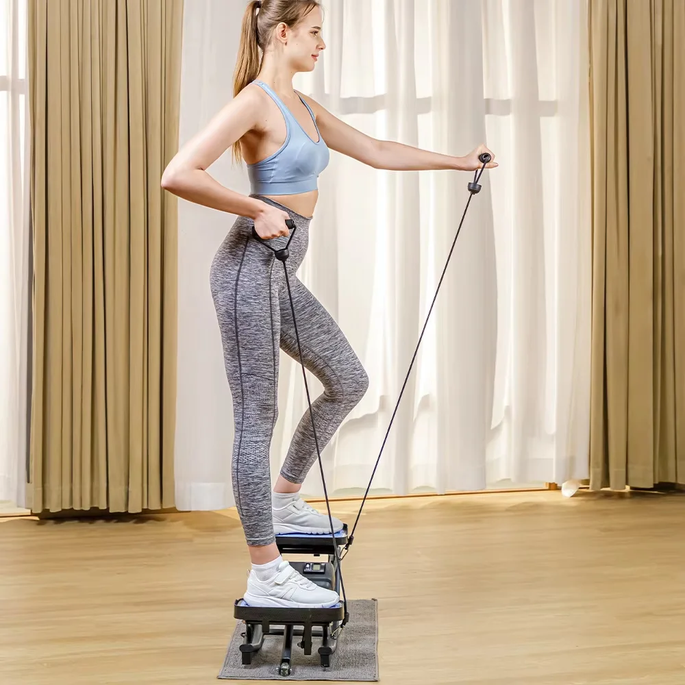 Mini ABS and Steel Twist Stepper Home Cardio Exercise Fitness Machine Stair Climber Equipment