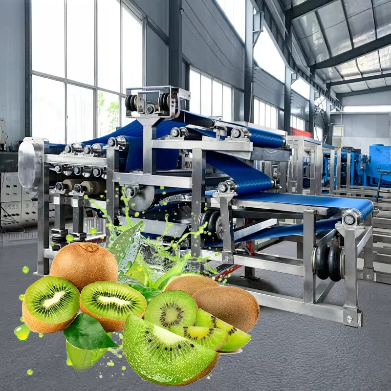 Industrial Pear Plum Fruit Vegetable Juicer Machine for Fruit Juice Processing Plant Flour Mill Use High Efficiency High