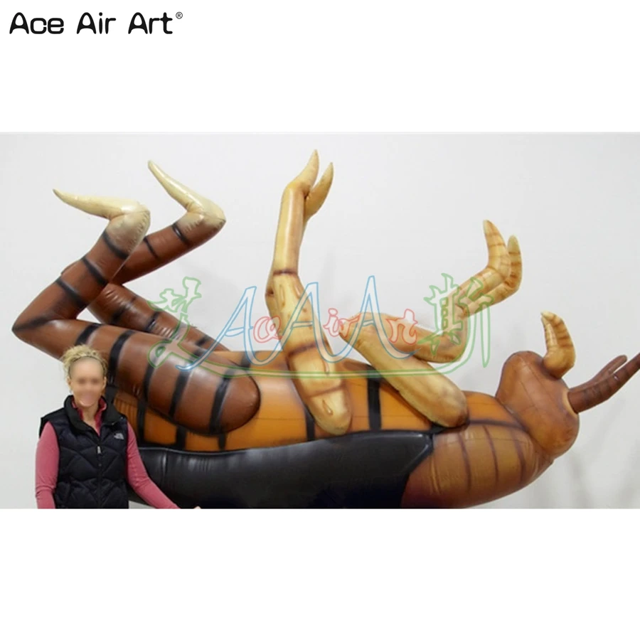 Inflatable Cockroach, Giant Inflatable Animal Model With Air Blower For Advertising/ Party/Show Decoration Made By Ace Air Art