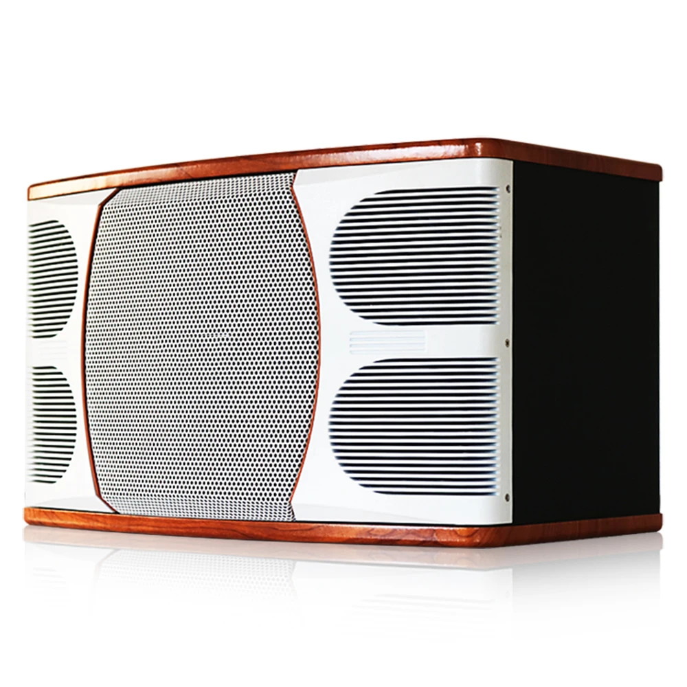 K-750 10-Inch 200W Two-Way Karaoke Audio Speaker for KTV Bars and Sound Equipment view 5