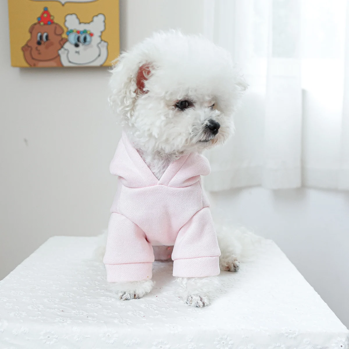 1PC Pet Clothes Spring and Autumn Plush Pink Princess Hat Coat Suitable for Small and Medium sized Dogs