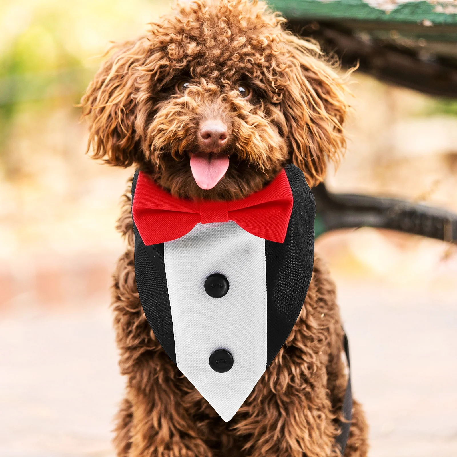 وشاح مثلث للحيوانات الأليفة، نمط منقوش، مادة ماصة، ملابس للكلاب، مريحة تناسب مقاسات مختلفة للحفلات والاستخدام اليومي