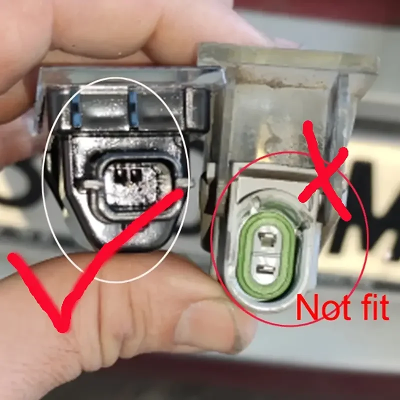 2 قطعة لرينو كليو 3 2005-2014 كليو 4 2012-2019 كليو جراند تور 2013-2019 Canbus لا خطأ سيارة Led رقم لوحة ترخيص ضوء