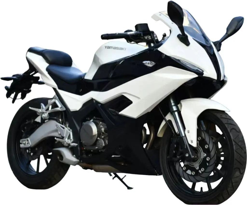 3000W DC Brushless Motor High-Performance Long-Range E-Dirt Bike with Dual Disc Brakes & LED Lighting