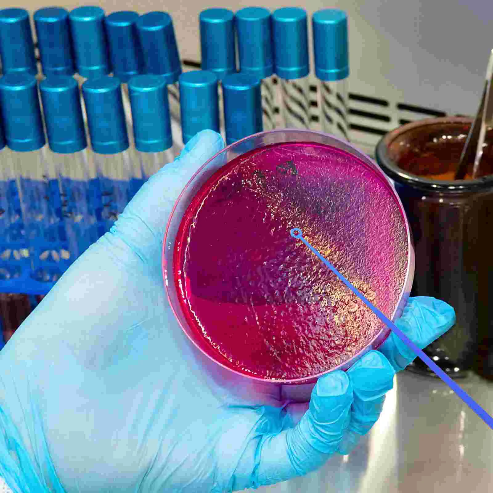 Microbiologie Inoculatie Staaf Laboratoriumapparaat Inoculatie Stick Loop Component