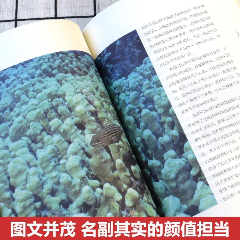 Primitive Ocean, Exploring The Original Appearance of The Ocean At Its Inception