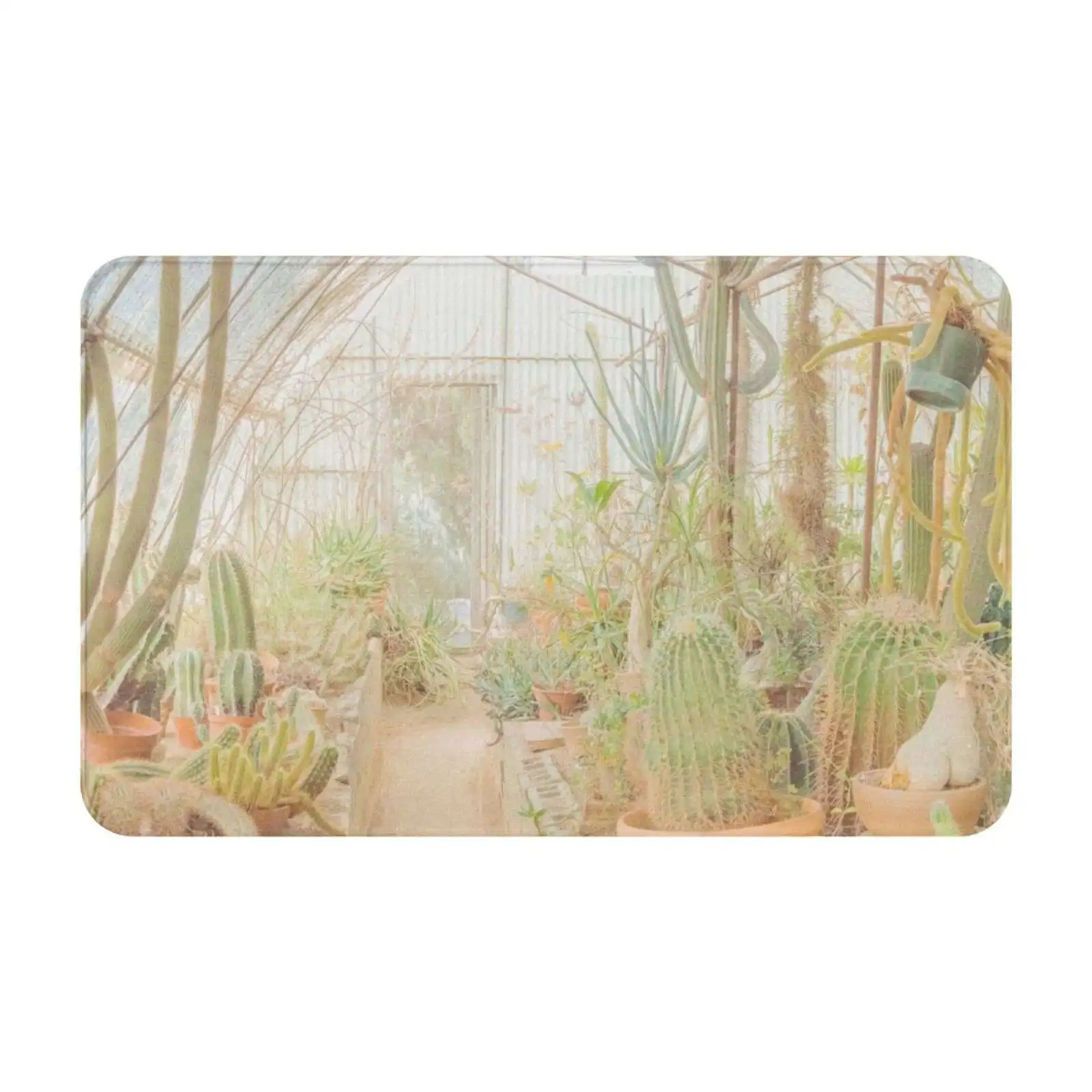 Cactus And Succulent Greenhouse In Palm Springs Garden Soft Cushion Car Home Carpet Door Mat Isabelle Winardi Idraniwinardi