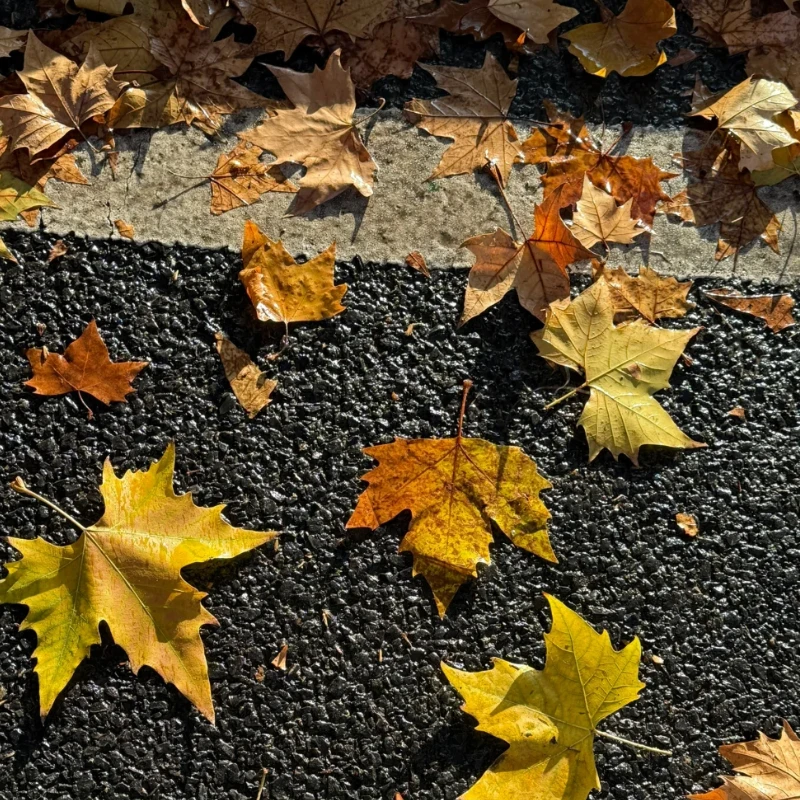 

JX Servo PDI-2004MG 4,2 кг 0,08 с полным алюминиевым корпусом с ЧПУ, цифровой сервопривод без сердечника для радиоуправляемого автомобиля, дрона, планера, вертолета, гусеничного автомобиля