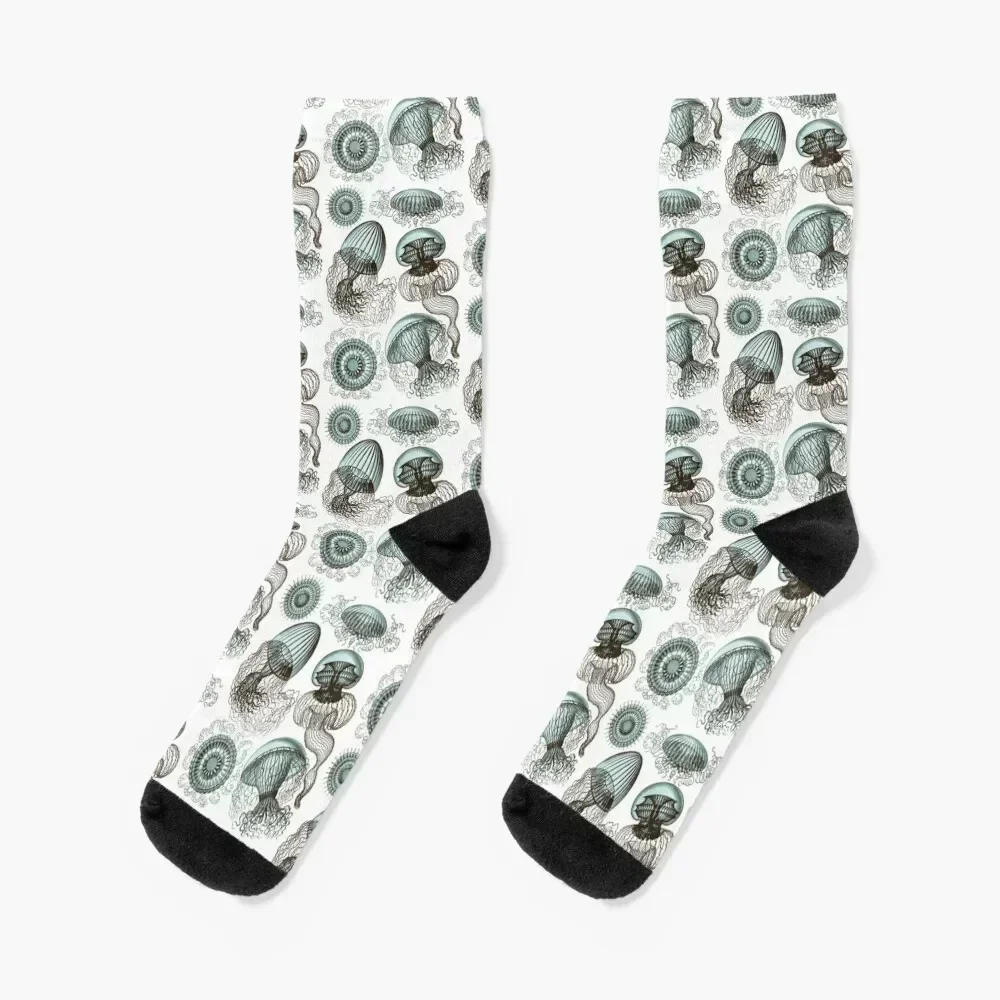 

Ernst Haeckel Jellyfish Leptomedusae Brown Teal Socks funny sock custom funny gift Heating sock Men's Socks Women's