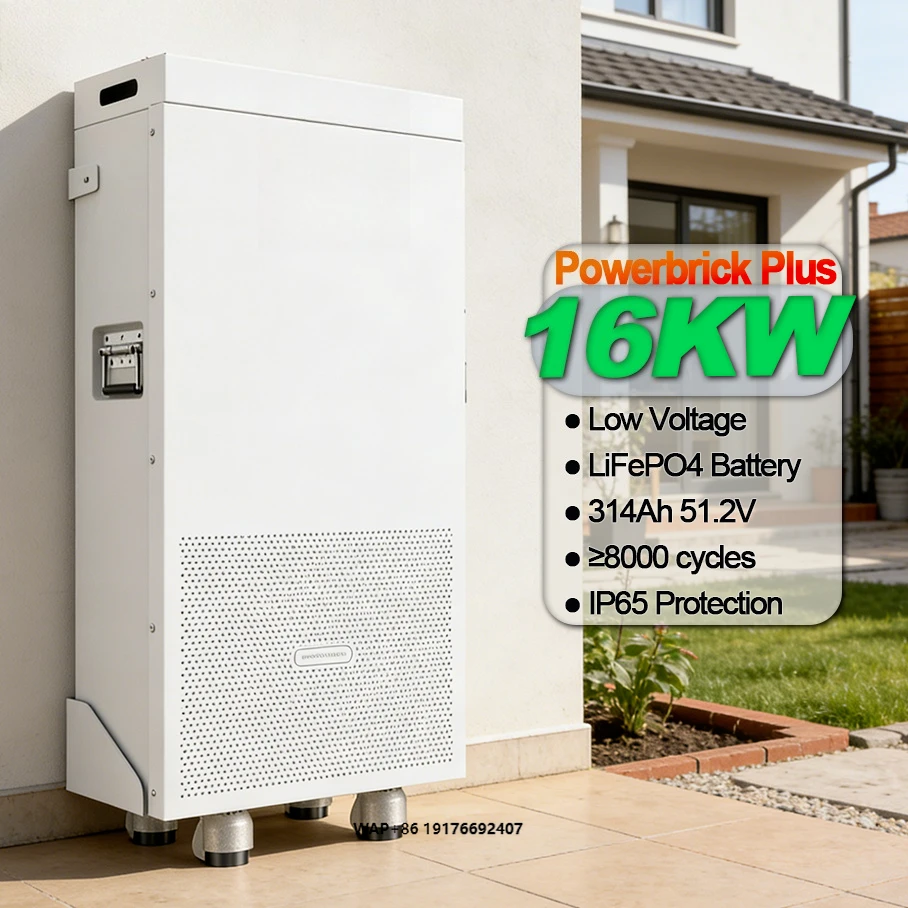 Dyness 16kWh Lithium Battery PowerBrick Plus 51.2V 314Ah Standing Solar Battery with Integrated Smart BMS for Residential ESS