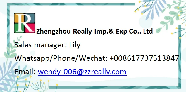 Automatic Chili Powder Granule Small Bag Pouch Filling Sealing Packing Machine