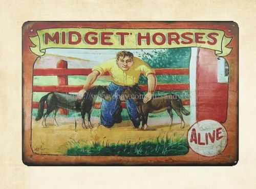 outdoor wall art Carnival Midway MIDGEST HORSES alive metal tin sign
