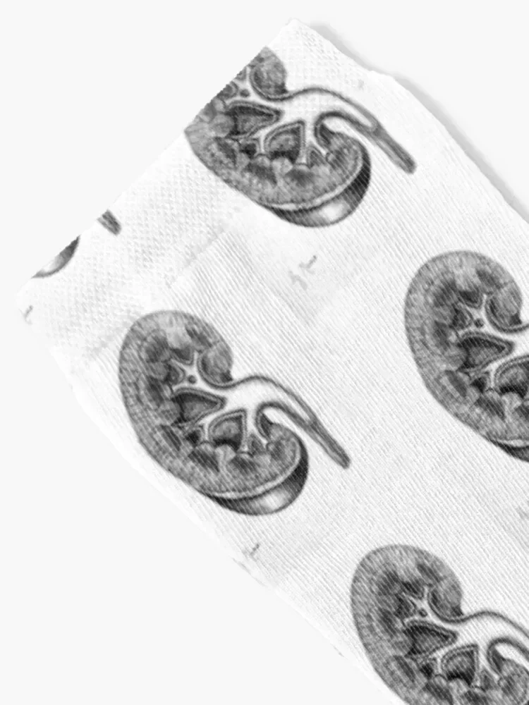 Vintage Kidney Drawing Socks Run cute Man Socks Women's