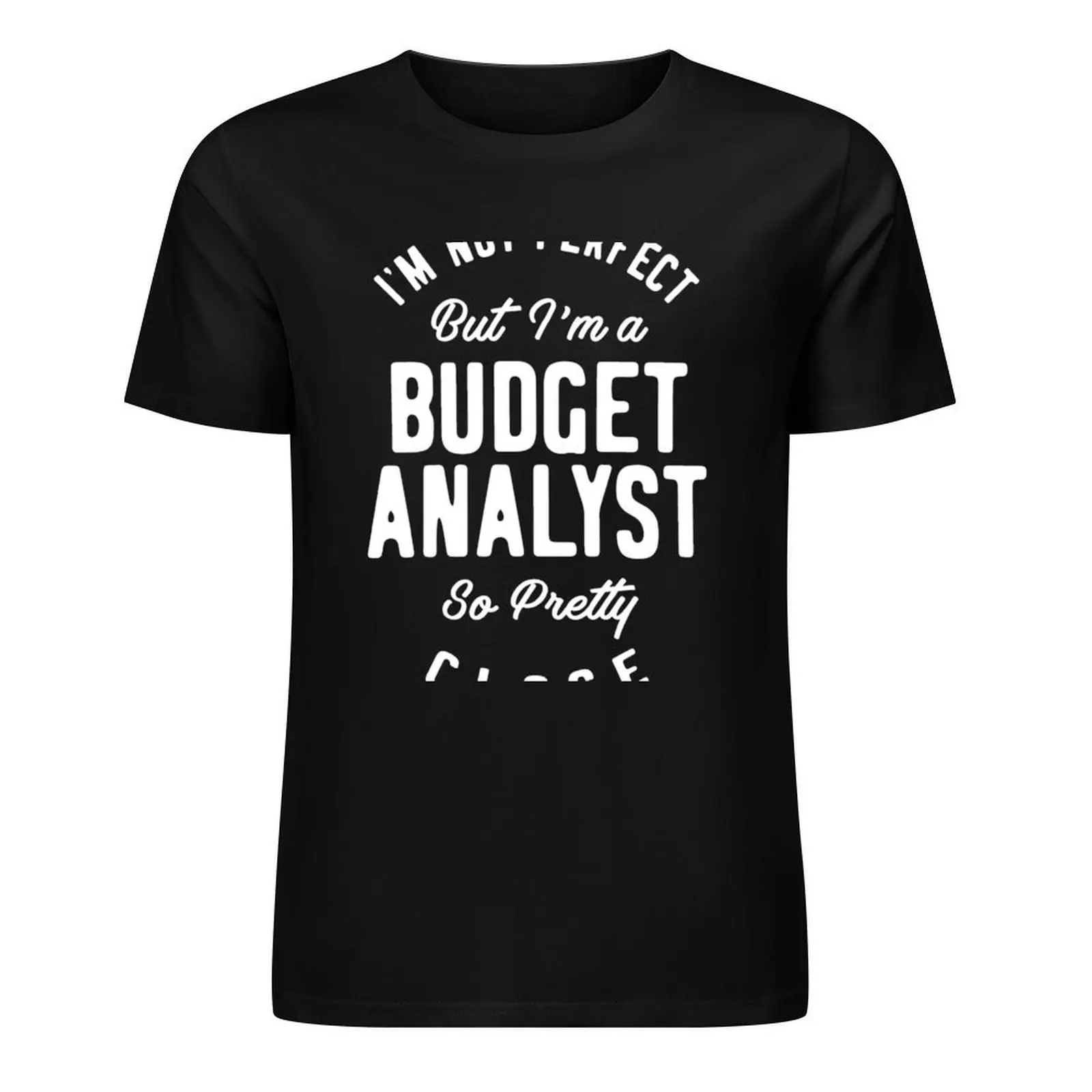 Budget Analyst T-Shirt boys animal print vintage vintage graphic tee aesthetic clothes men clothing