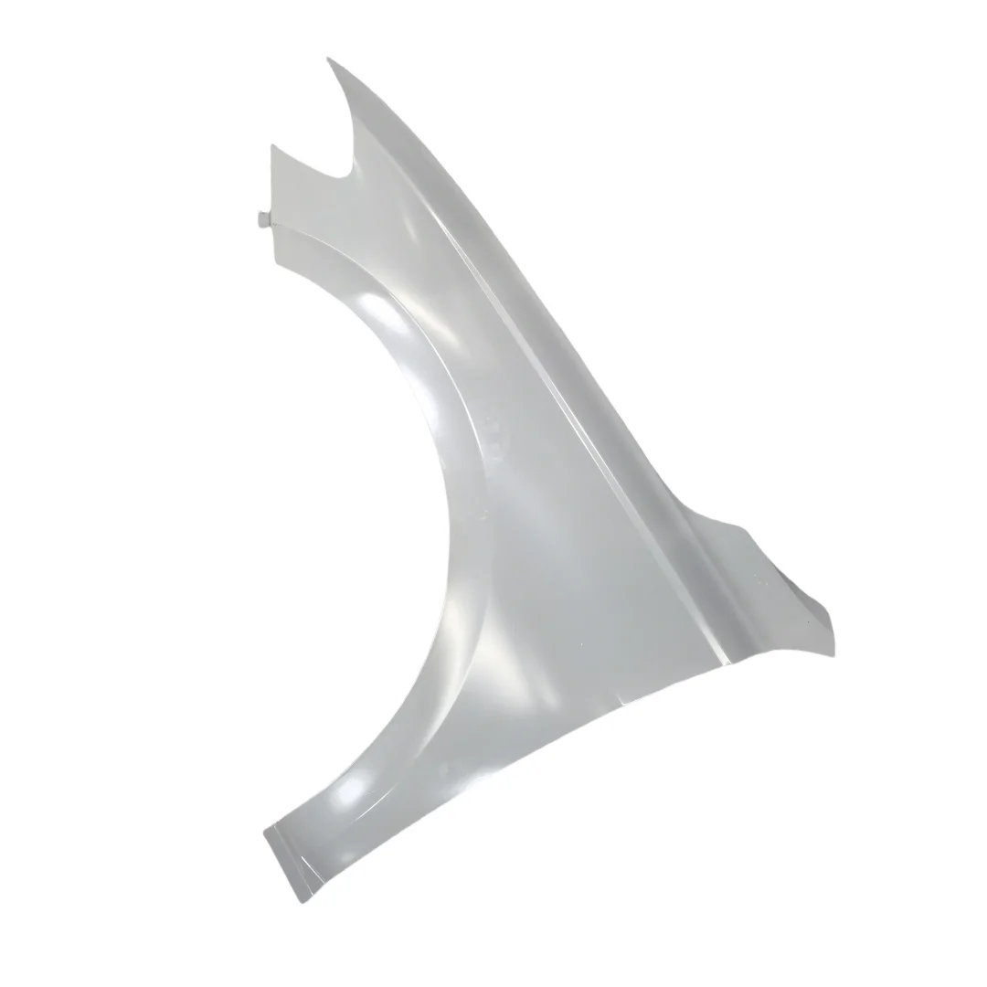 OEM Automotive Accessories Carbon Fiber Car Parts OEM Carbon Fiber Front Fenders for E-lavida