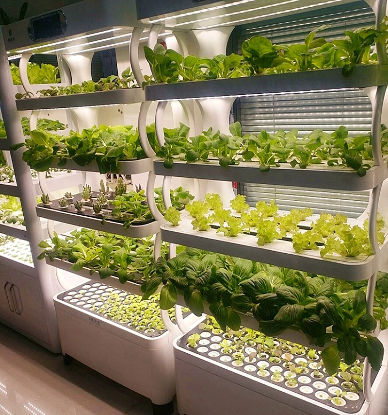 Machine Growing High Quality Indoor Farming Vertical Rack High Yield Smart Farms Vertical Hydroponic