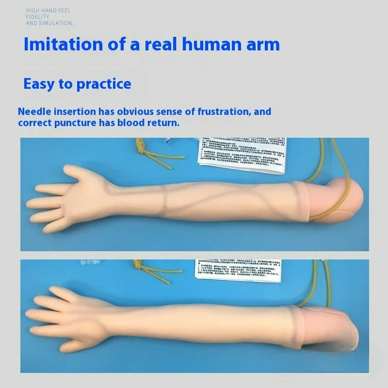 Simulated Long Arm Display Model Teaching Demonstration Accessory