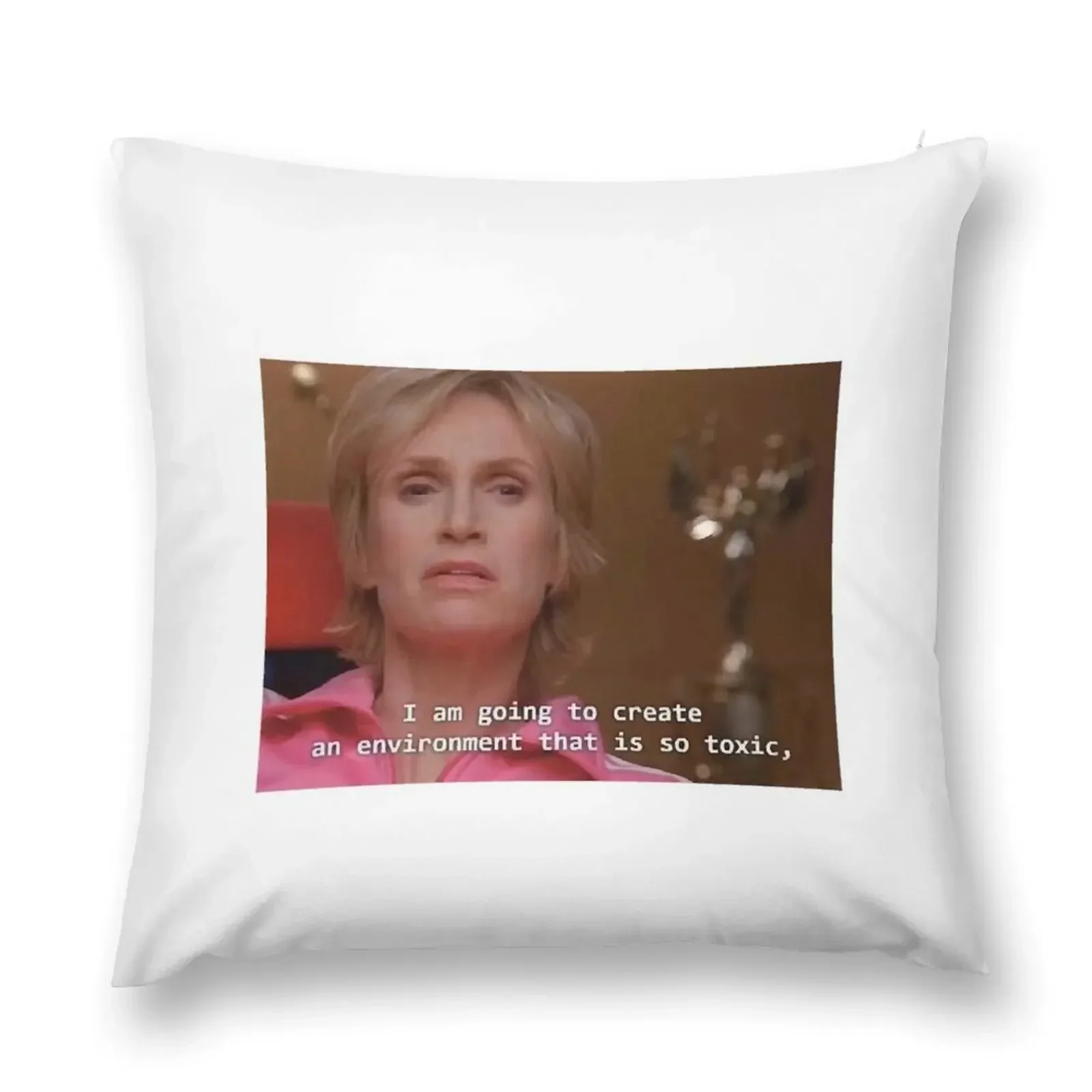 i am going to create an environment Throw Pillow Cushion Cover Set Sofa Cushions pillow