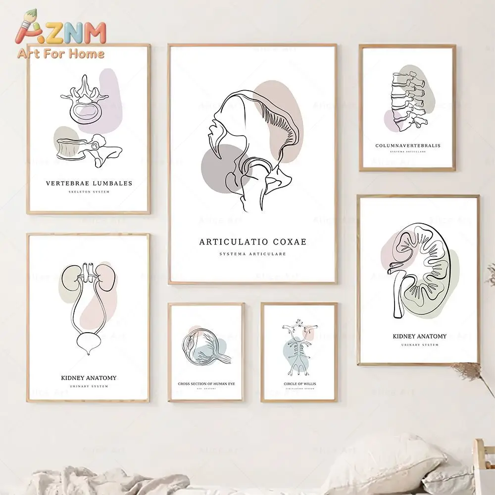AZNM Human Skeleton Organ Anatomy Canvas Wall Art Line Art Medical Biology Educational Print Frameless Canvas Painting Clinic Of