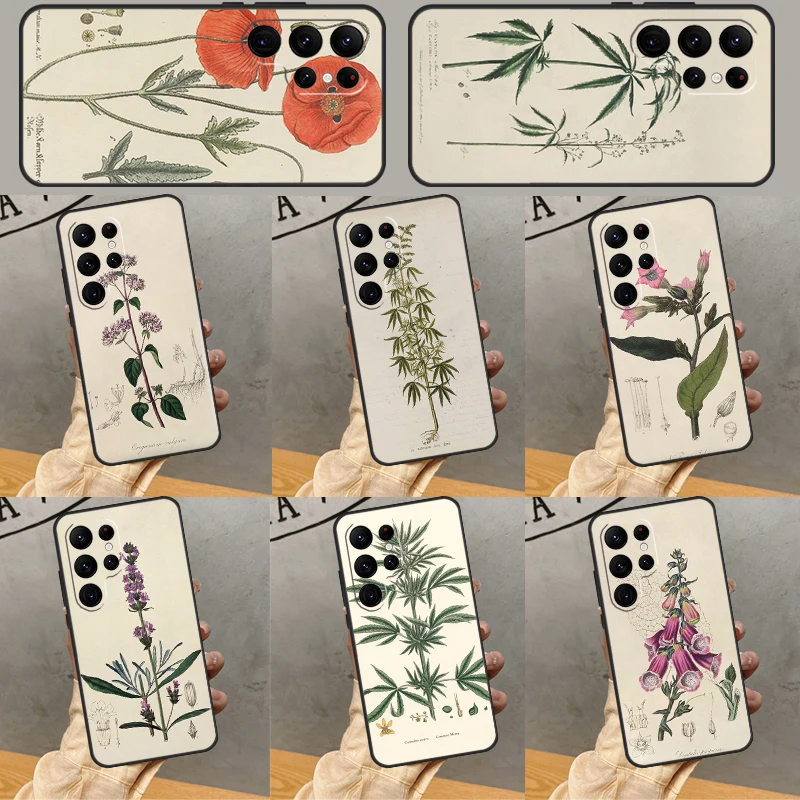 Botanical Drawings Flowers Case For Samsung Galaxy S23 S22 S21 Ultra Note 20 S8 S9 S10 Note 10 Plus S20 FE Soft Cover